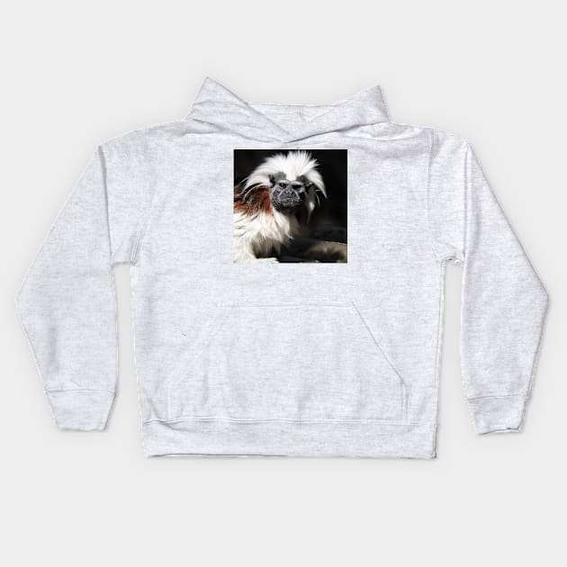 Cotton-top Tamarin Kids Hoodie by kirstybush